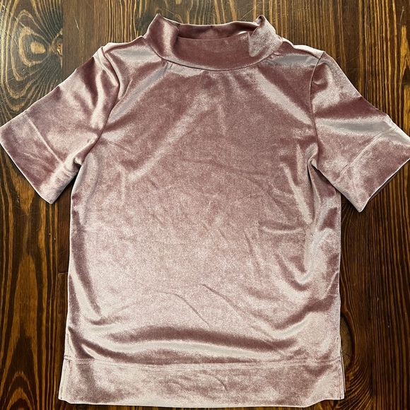 ANTHROPOLOGIE Krisha Mauve Crushed Velvet Mock Neck Short Sleeve Top - Picture 2 of 7